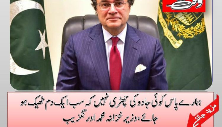 ہمارے پاس کوئی جادو کی چھڑی نہیں کہ سب ایک دم ٹھیک ہو جائے ،وزیر خزانہ محمد اورنگزیب