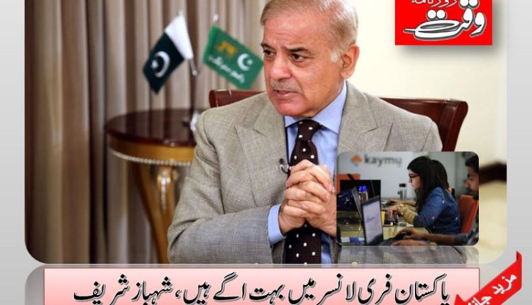 پاکستان فری لانسر میں بہت اگے ہیں ،شہباز شریف